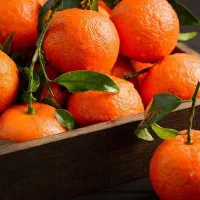 فروش نارنگی