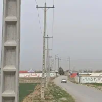 زمین باغی۱۶۰۰متری پردیس نخل ماریان