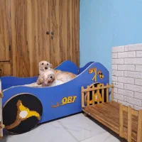 پانسیون خانگی سگ|خدمات پیشه و مهارت|رشت, بوسار|دیوار