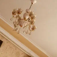 1عددلوستر لیلی مجنون