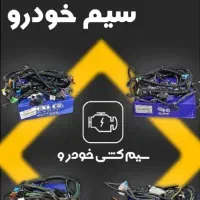 تبدیل کاربراتور به انژکتور پژو و پراید