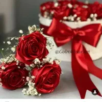 جعبه جادویی|گل و گیاه طبیعی|دورود, |دیوار