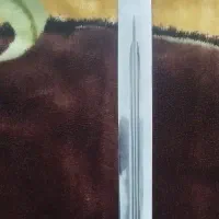 چاقو|کوهنوردی و کمپینگ|قم, پردیسان|دیوار