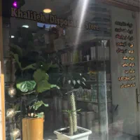 فروش عمده ظروف یکبارمصرف و مایکروویوی چکی|ظروف نگهدارنده، پلاستیکی، یکبارمصرف|ورامین, ورامین|دیوار