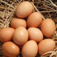 تخم مرغ محلی