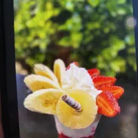 نیازمند همکار ساده آقا کار در بستنی فروشی