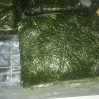 سبزی تازه خورد برای خورشت