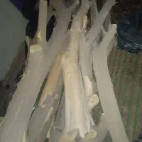 چوب پرتقالی