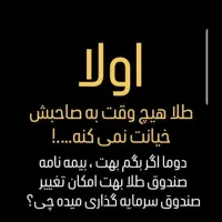طرح سرمایهگذاری و پسانداز بیمه سامان|خدمات مالی، حسابداری، بیمه|اصفهان, طامه|دیوار