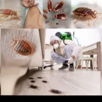 سم پاشی حشرات و موش و ..تضمینی و تخصصی