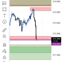 آموزش فارکس به صورت خصوصی با وین ریت 100
