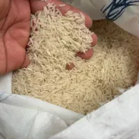 برنج فجر سوزنی درجه ۱