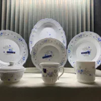 آرکوپال لومینارک|ظروف سرو و پذیرایی|یزد, |دیوار