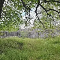 فروش زمین باغی دهبکری