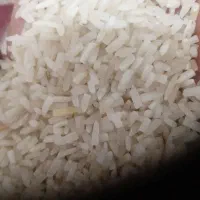 دم سیاه