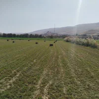 زمین-ابی-حدود-5000هزار-متر-نیم-هکتار