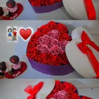 باکس و|گل مصنوعی|ایلام, |دیوار