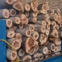 خرید انوع چوب