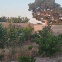 باغچه ۲۹۰ متری/درختان مثمر/آب سهمیه