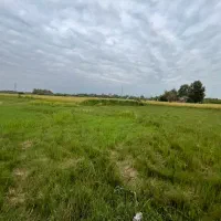 زمین مسکونی ۲۷۷متری با پروانه ی ساخت ۸۵متری|فروش زمین و ملک کلنگی|لشت نشا, |دیوار
