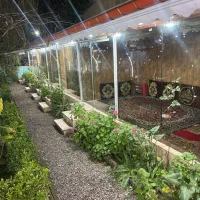 نیروی خدماتی خانوم جهت ظرف شویی در آشپزخانه
