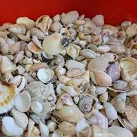 رزین رنگ سیلیکون موتور ساعت شن کریستال صدف قالب