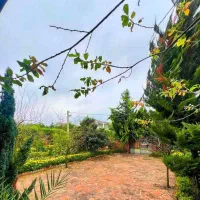 باغ ویلای ۸۰۰متری//شهرک قدیمی سنددار|فروش خانه و ویلا|رویان, |دیوار