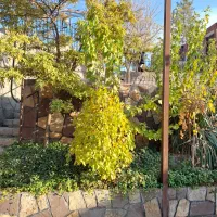 اجاره روزانه سوییت باغ ویلا اول طرقبه