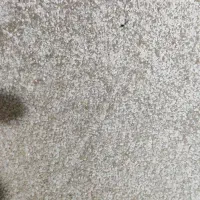 موکت و گلیم|موکت|زابل, |دیوار