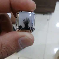 انگشتر شجر نوروزی