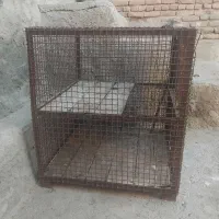 قفس مرغ  حیوانات|لوازم جانبی حیوانات|اسکو, |دیوار