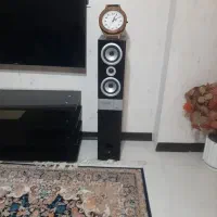 یک جفت باند کاملا سالم مارک مینگو