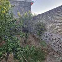 ۳۵۰متر زمین چهار دیواری باغرود