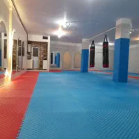 باشگاه کونگ فو