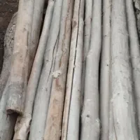 چوب های سقف|عمدهفروشی|پلدشت, |دیوار