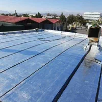 لکه گیری ایزوگام دلیجان ترمیم حتی1مترتمام نقاط|خدمات پیشه و مهارت|تهران, ونک|دیوار