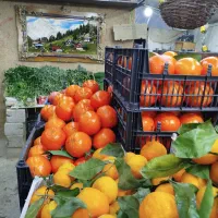 نیازمند فروشنده برای مغازه میوه فروشی|استخدام بازاریابی و فروش|نجفآباد, شریعتی|دیوار