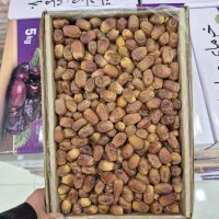 حراج خرما زاهدی تازه