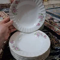 چینی|ظروف سرو و پذیرایی|رشت, جانبازان|دیوار