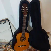 گیتار کلاسیک|گیتار، بیس، امپلیفایر|یزد, |دیوار