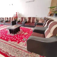 فرش ومبل و تلوزیون|فرش|فسا, |دیوار