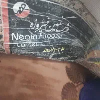 فرش ۱۲ و ۹ متری و قالیچه|فرش|مشهد, رسالت|دیوار