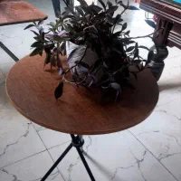 به چند نفر کارگر اقا بصورت فوری نیازمندیم|استخدام صنعتی، فنی، مهندسی|صوفیان, |دیوار