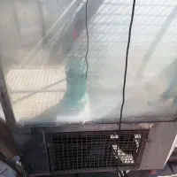 فروش آکواریوم ماهی زنده|ماهی|فولادشهر, مسکن مهر فولادشهر|دیوار