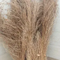 جاروی فروشی