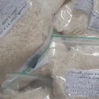 برنج طارم دم سیاه گلستان