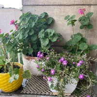 فروش-یک-واحد-آپارتمان