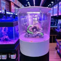 راهنمایی نظافت