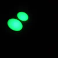 گوهر شب چراغ|عمدهفروشی|مسجد سلیمان, |دیوار