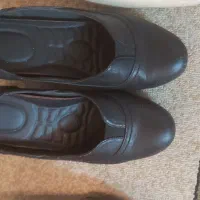 کفش|کیف، کفش، کمربند|مشهد, حجاب (شهرک غرب)|دیوار